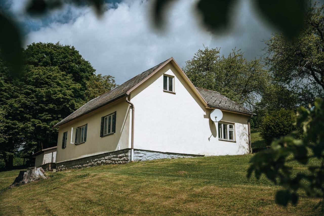 U Lesa Holiday home Vapenice